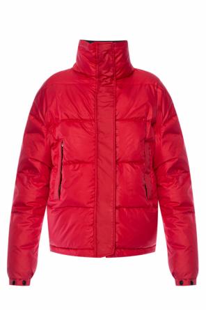 Pikowana kurtka ‘nala’, zdjęcie 1 Pikowana kurtka ‘nala’ od AllSaints
